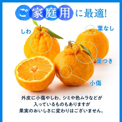 農家直送の不知火/約3kg(2027年2月発送予定).AB642