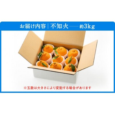 農家直送の不知火/約3kg(2026年2月発送予定).AB503