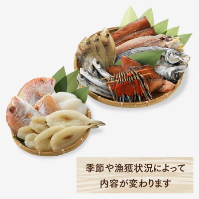 【大満足】進藤商店一夜干しセット(極).BI028