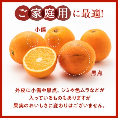 ネーブル(3kg程度)/2026年12月～2027年1月配送.AB504