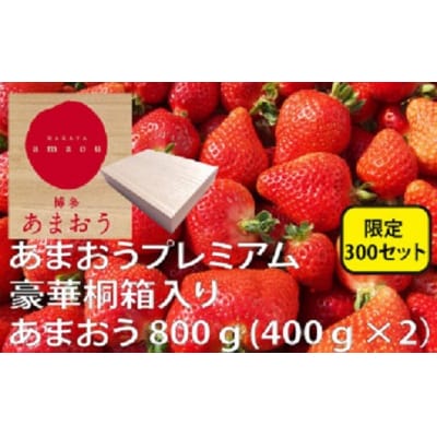 ★限定品★あまおうプレミアム(桐箱入り)/2026年1月下旬～4月配送【あまおう】.BF022