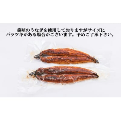 うなぎの蒲焼6尾(計1200g以上)『1～2ヶ月前後でお届け!!』.BA020