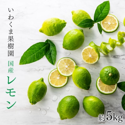 貴重な国産レモン.約5kg/2025年9月～2026年2月発送予定.AB510