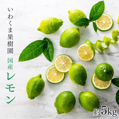 貴重な国産レモン.約5kg/2026年9月～2027年2月発送予定.AB510