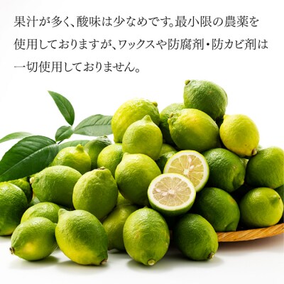 貴重な国産レモン.約5kg/2026年9月～2027年2月発送予定.AB510