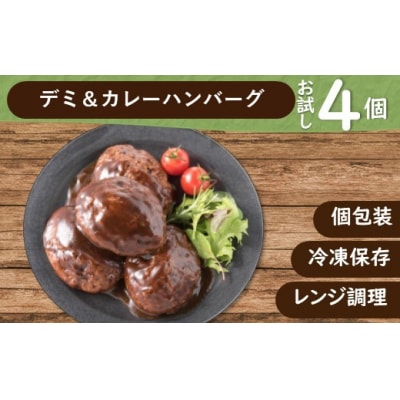 累計300万個突破記念!お試し4個.デミ&カレーハンバーグセット【150g×4個】.ZF155