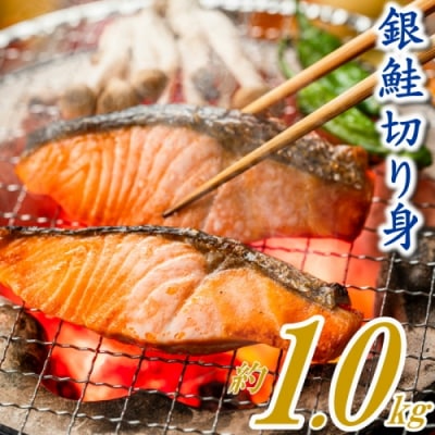 �o�������ŕ֗�!����ؐg(��1.0kg).ZI314