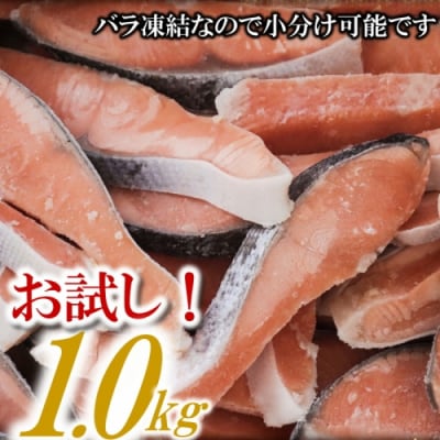 バラ凍結で便利!銀鮭切身(約1.0kg).ZI314