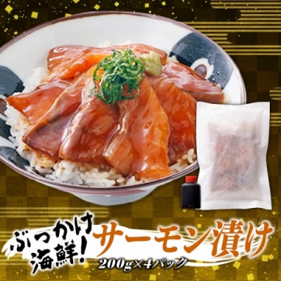 ぶっかけ海鮮!サーモン漬け.AA308