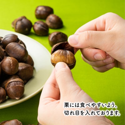 銅釜で焼き上げる!天津甘栗650g.ZG244