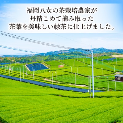 福岡八女茶のペットボトル.緑茶(500ml×24本)【八女茶】.AB511