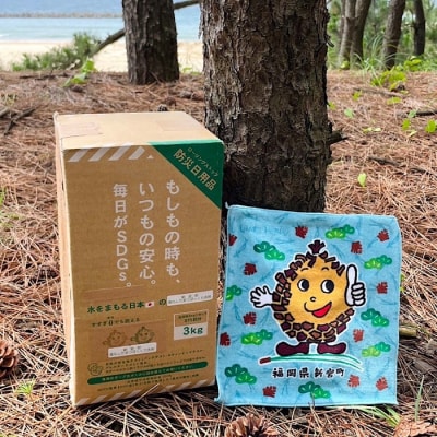 新宮町進化したまつぼっくり洗剤リピーター様向け3kgBOX.ED001