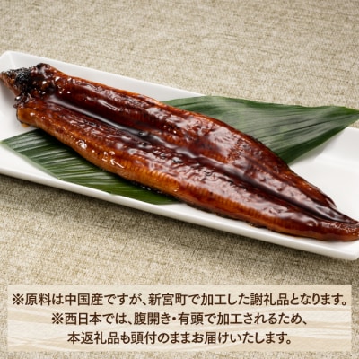 うなぎの蒲焼2尾&デミ味ミート&照り焼きチキンボール40個(2種×20個).AA318