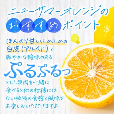 福岡柑橘王国.ニューサマーオレンジ約5kg/2026年4月配送.AB515