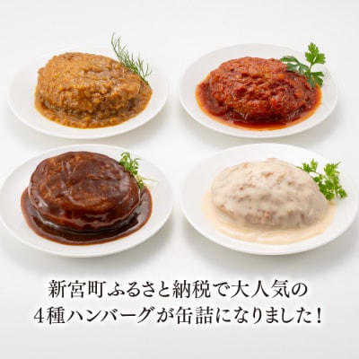 【常温で保管できる!】4種ハンバーグ缶詰セット(150g×4缶).AA319