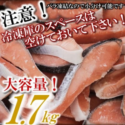 【厚切り!】バラ凍結で便利!厚切銀鮭切身(約1.7kg).AC224