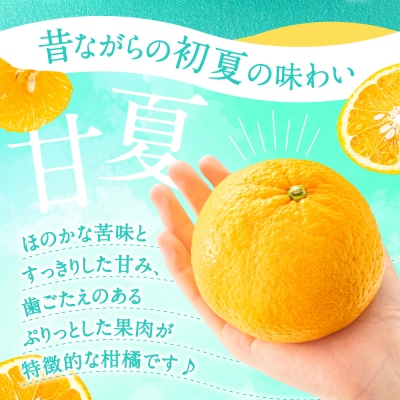 福岡柑橘王国・樹成り完熟甘夏/約8kg(2026年4月～5月配送予定).AB516