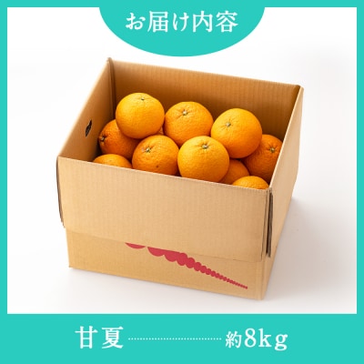 福岡柑橘王国・樹成り完熟甘夏/約8kg(2026年4月～5月配送予定).AB516