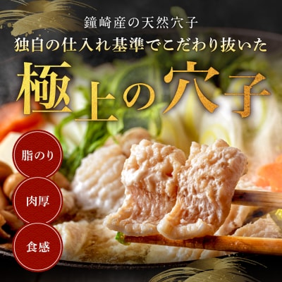 天然穴子鍋セット(2～3人前).AF107