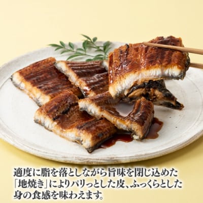 【国内産】【有頭】うなぎ蒲焼 (特大) 2尾 <計500g前後>.AH079