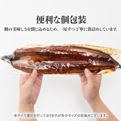 【国内産】【有頭】うなぎ蒲焼 (特大) 2尾 <計500g前後>.AH079