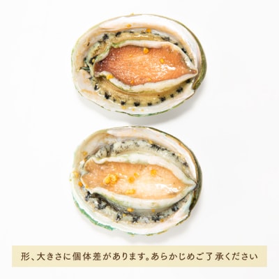 刺身用あわび4粒(計約400g).AC296