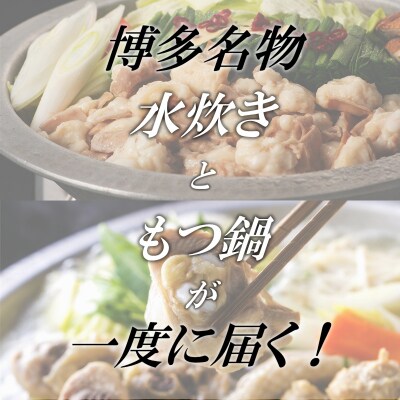博多名物もつ鍋と水炊きの豪華セット(約10人前)【もつ鍋・醤油味】【水炊き】.AC233