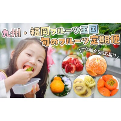 【人気】九州・福岡フルーツ王国.旬のフルーツ定期便Jセット.FC004