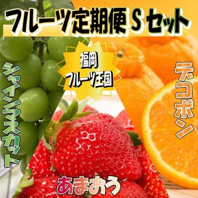 九州・福岡フルーツ王国.旬のフルーツ定期便Sセット【あまおう】.CI004