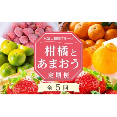 【人気の福岡フルーツ】柑橘とあまおう定期便.FB001