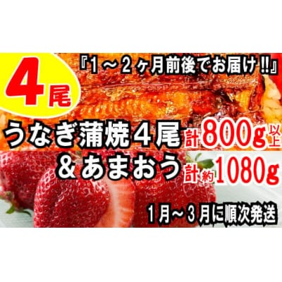 うなぎの蒲焼4尾&いちごの王様あまおう1080g【新宮町ミラクルセット】.BF024