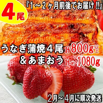 うなぎの蒲焼4尾&いちごの王様あまおう1080g【新宮町ミラクルセット】【あまおう】.BF024