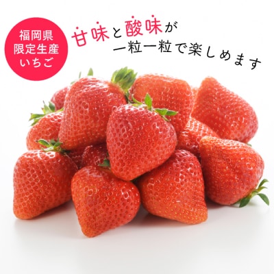 うなぎの蒲焼4尾&いちごの王様あまおう1080g【新宮町ミラクルセット】【あまおう】.BF024