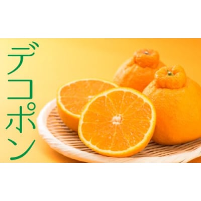 福岡柑橘王国!柑橘定期便Aセット.GB006