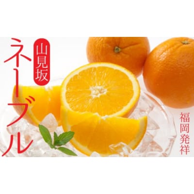 福岡柑橘王国!柑橘定期便Aセット.GB006