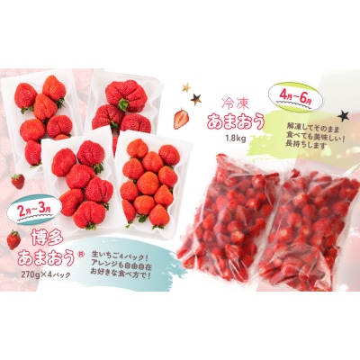 【あまおうが大好きなアナタへ】あまおう定期便(全4回).EB003