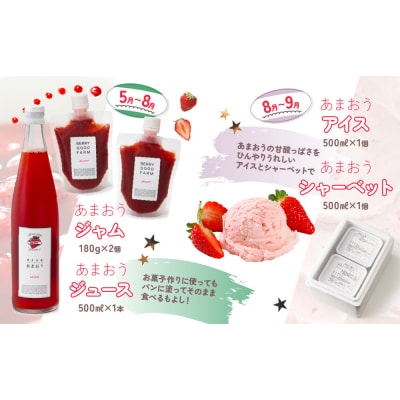 【あまおうが大好きなアナタへ】あまおう定期便(全4回).EB003