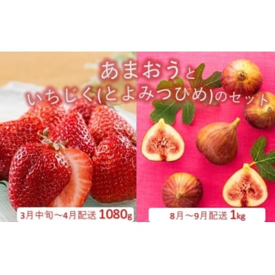 あまおう約1,080gといちじく約1kgのセット【あまおう】【とよみつひめ】.BB038