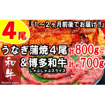 うなぎの蒲焼4尾&博多和牛700g【スタミナ満点!元気セット】【博多和牛】.BF025