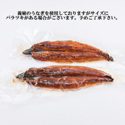 うなぎの蒲焼4尾&博多和牛700g【スタミナ満点!元気セット】.BF025