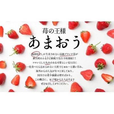 あまおう約1,080gと冷凍あまおう約2kgのセット【あまおう】.BB039