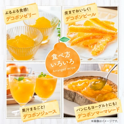 【人気】九州・福岡フルーツ王国.旬のフルーツ定期便Gセット【あまおう】.CH004