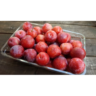 【人気】九州・福岡フルーツ王国.旬のフルーツ定期便Gセット【あまおう】.CH004