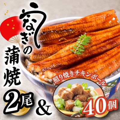 うなぎの蒲焼2尾&照り焼きチキンボール40個【新宮町Bセット】.AA336