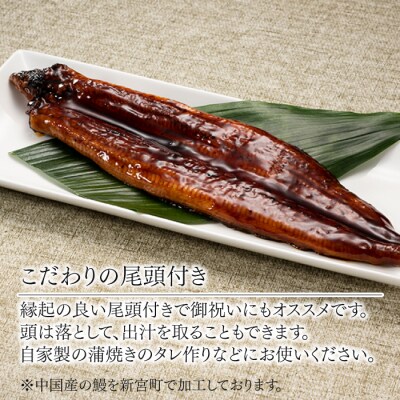 うなぎの蒲焼2尾&照り焼きチキンボール40個【新宮町Bセット】.AA336