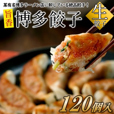 【創業40年の老舗が誇る味わい】博多餃子120個.AC238