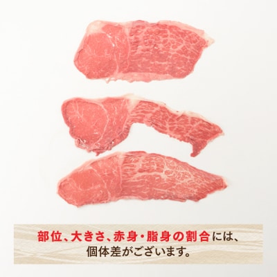 博多和牛赤身スライス(定期便:全5回).FE008