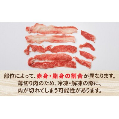 博多和牛しゃぶしゃぶ(定期便:全5回).FE007