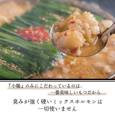 【博多もつ鍋おおやま】もつ鍋みそ・しょうゆ味食べ比べセット各3人前【もつ鍋味噌味・醤油味】.C216