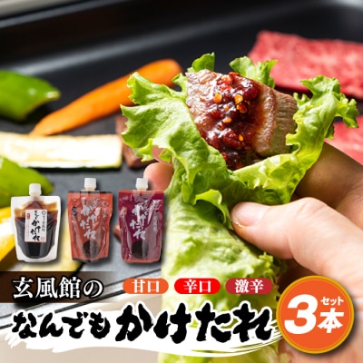 玄風館のなんでもかけたれ(3種類3本セット).A1634